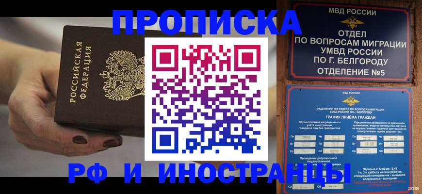 прописка штамп в Дмитрове
